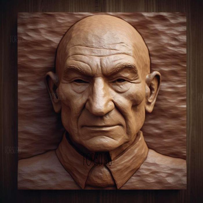 luc picard 4 stl model for CNC